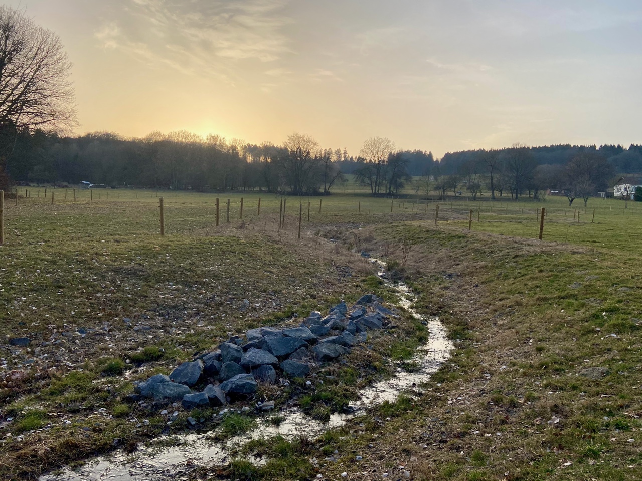 Der renaturierte Seifen in Spessart