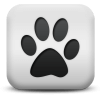 Captcha image 2005